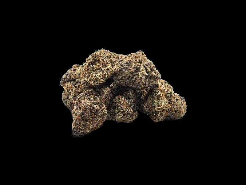 Bathera 23/1 DS