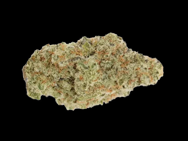 Medicus 27/1 EZA GMO