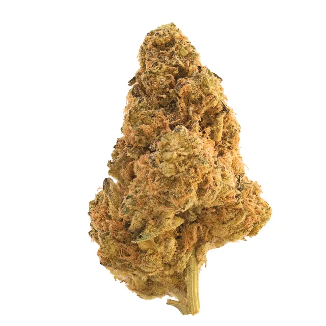 Origine Nature MED 32/1