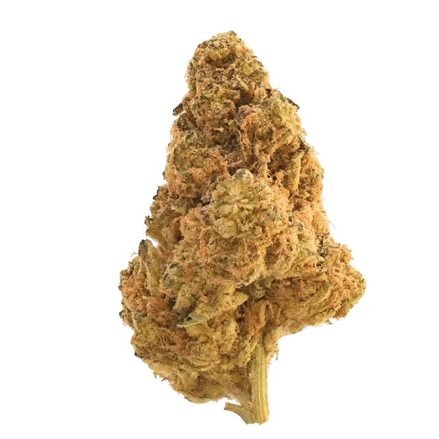 Origine Nature MED 32/1