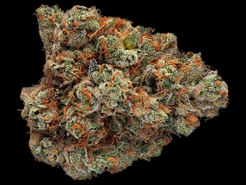 CannXChange CC 25/1