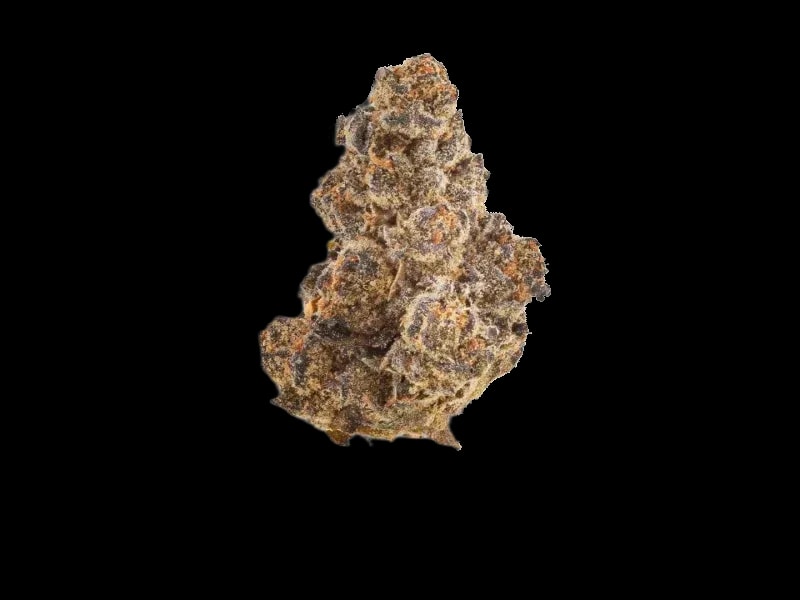 Medicus 24/1 YAR RND