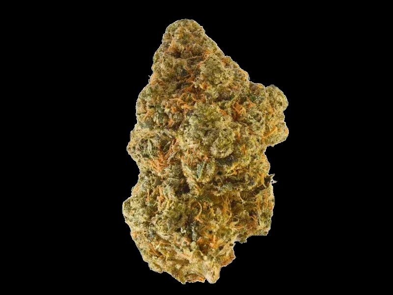 Truth Holdings LH 29/1