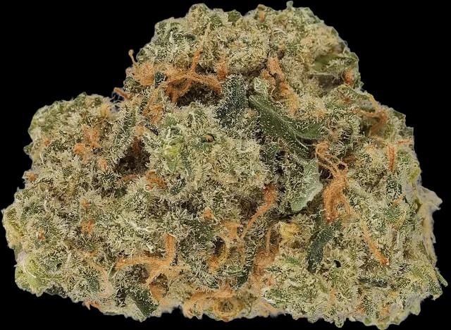 Cannamedical Indica Forte DK