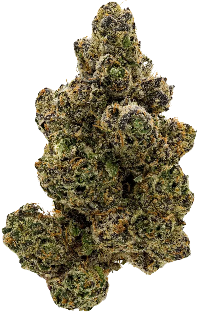 Cannamedical Sativa Forte NM