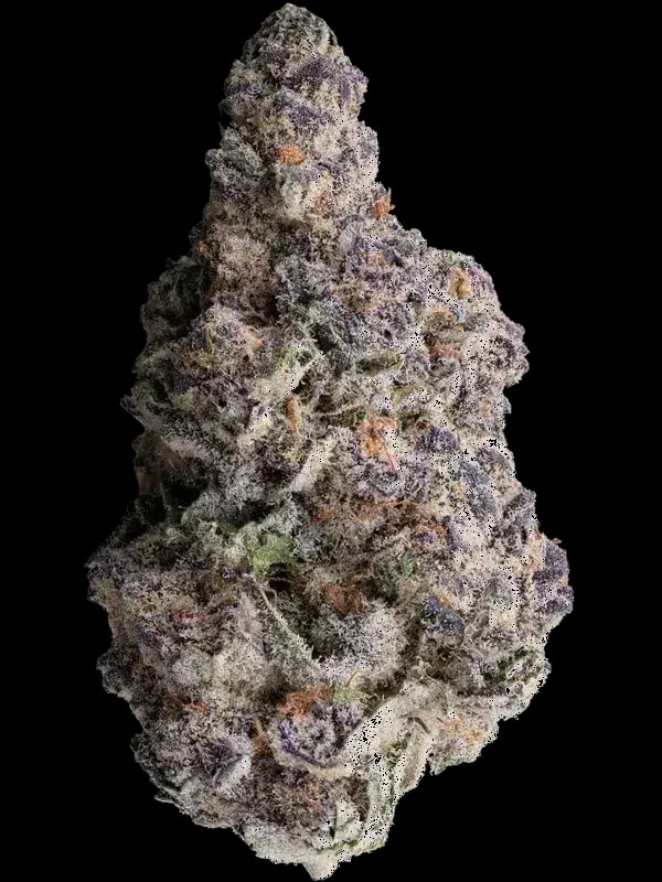 GrowMotion SBC 24/1