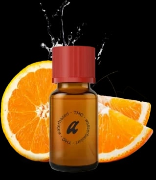 Vayamed 50/1 Cannabisextrakt
