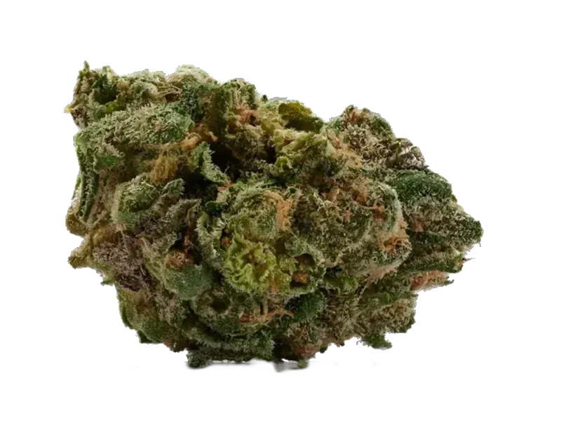 Ceres No. 2 25/1