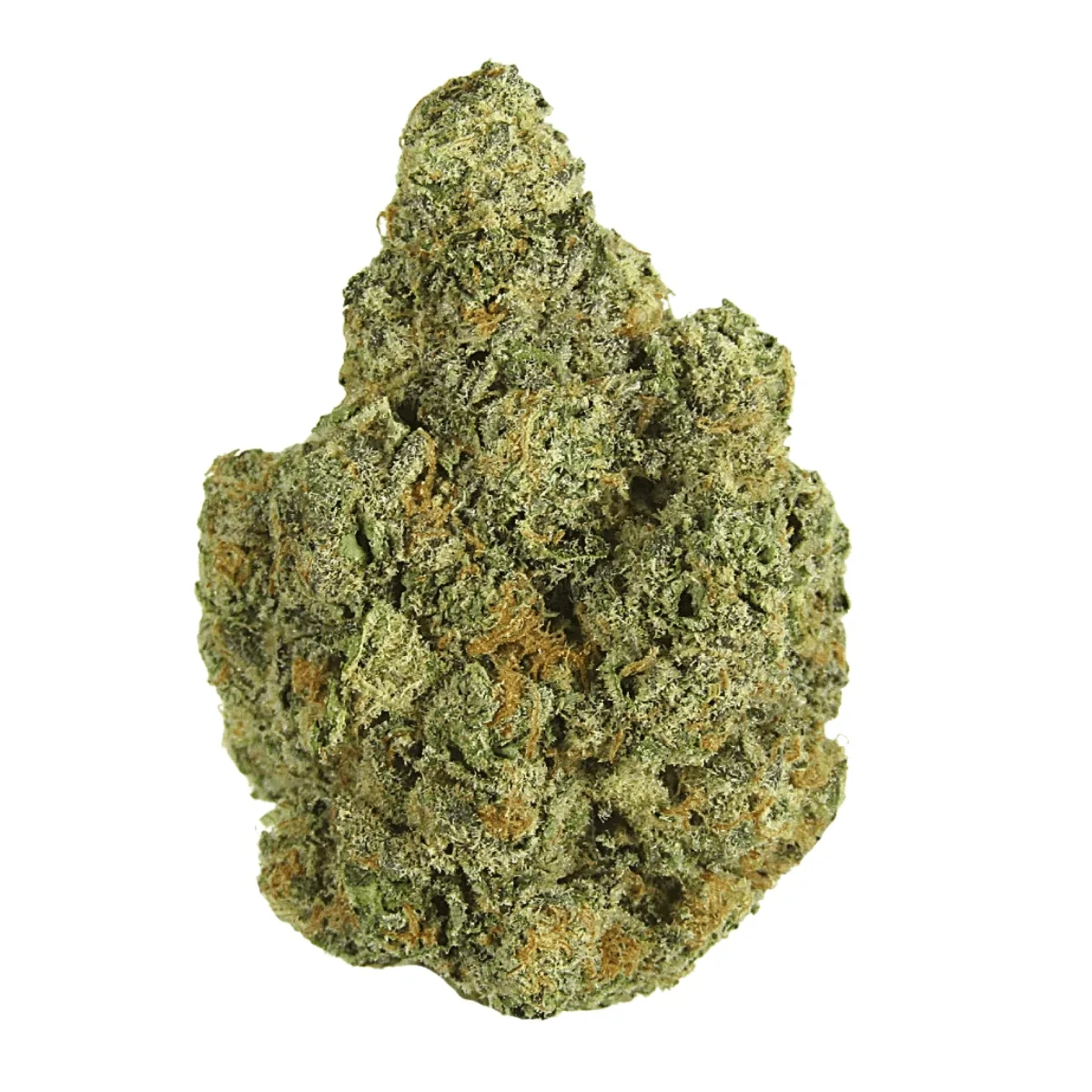 Dank Craft 30 RM CAN