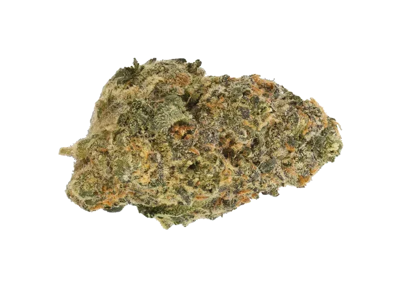 THC Akut TM 30 BIC