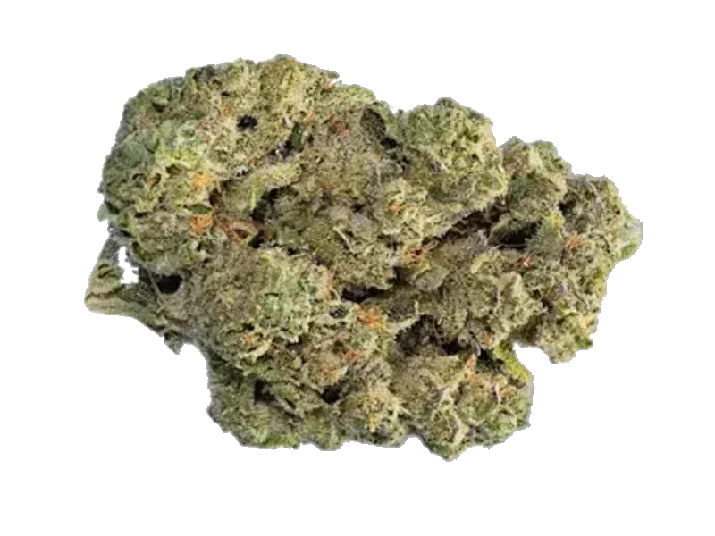 Bathera THC Akut EH 22 BLC
