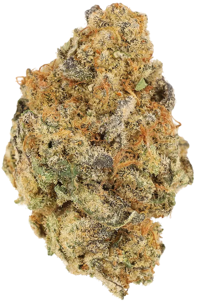 Cannamedical Indica Forte BC