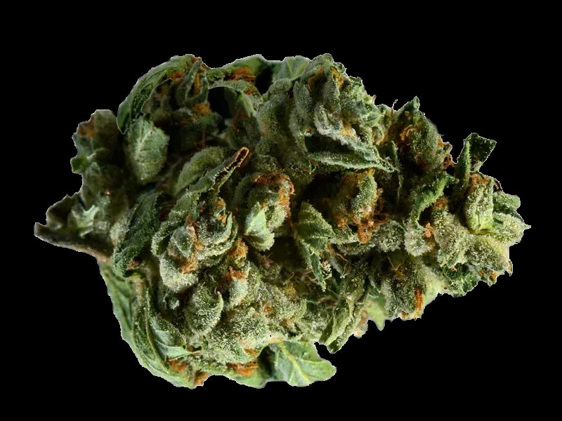 Eufloria 30/1 BAC