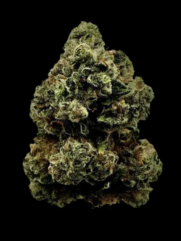 slouu 30/1 CDO