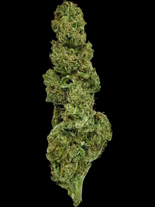Medical Saints 27/1 HUB Huckleberry