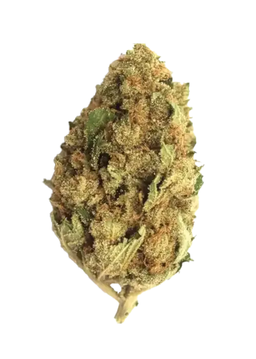 Cookies 2.0 30/1 Bubblegumz