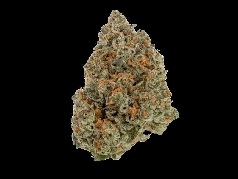 Soma OG 30/1 BCP Black Cherry Punch