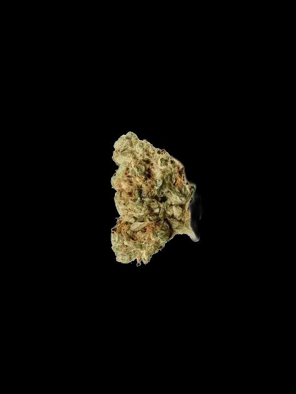 THC akut OHS 30