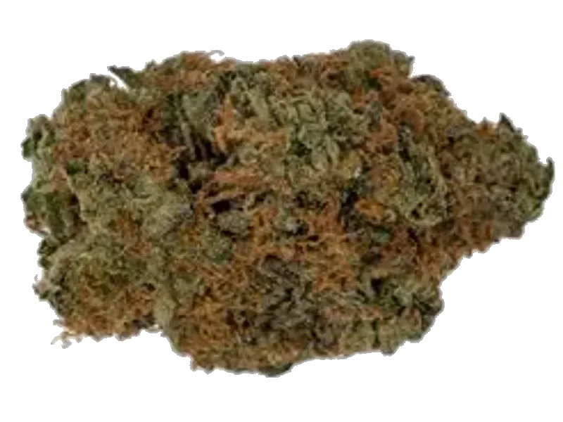 Social Choice! 27/1 ALB KMU Mountain Kush