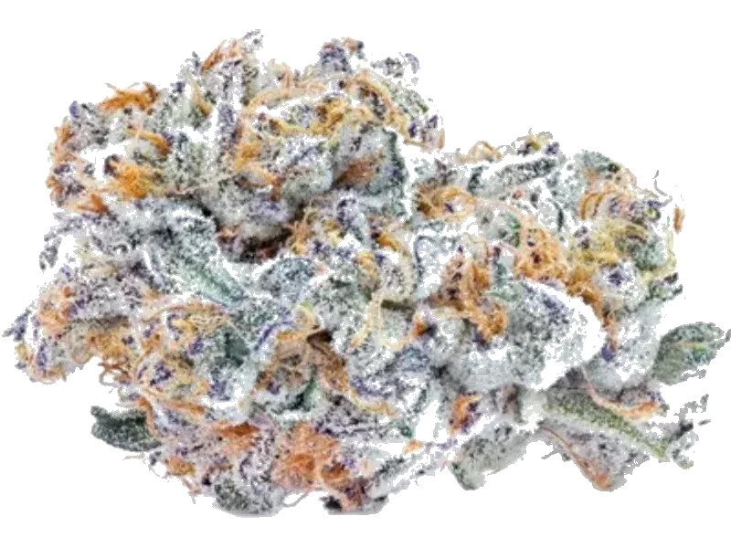 THC akut OHS 22 DQ