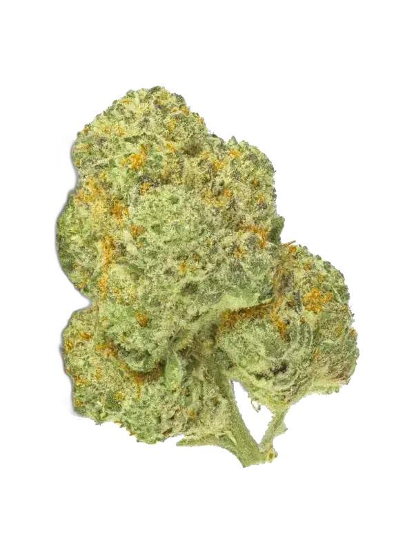 THC akut OHS 25 SF