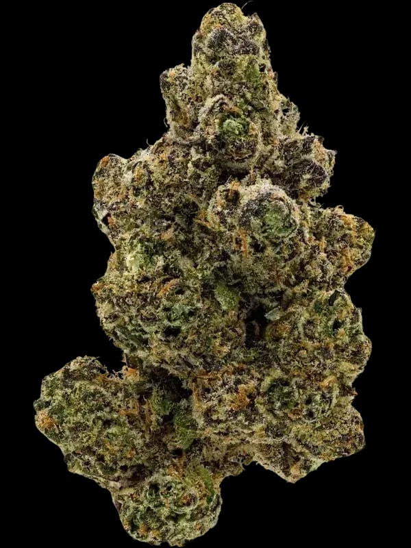 THC AKUT FB 24 KM