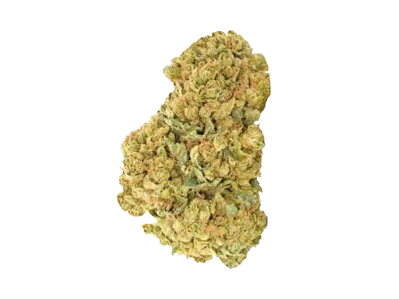 Bathera 28/1 CA AB