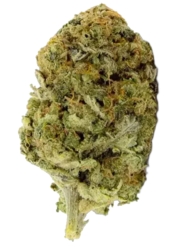 THC AKUT OHS 20 NP