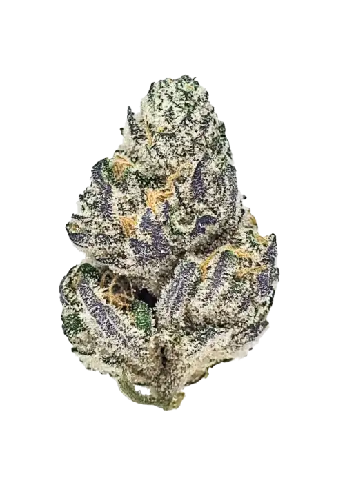 LOT 420 LEM