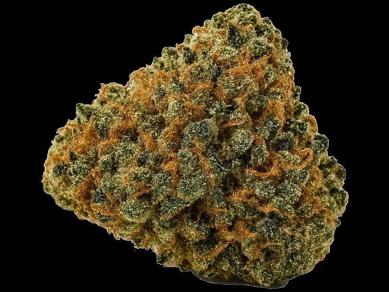 CannXChange CC 25/1