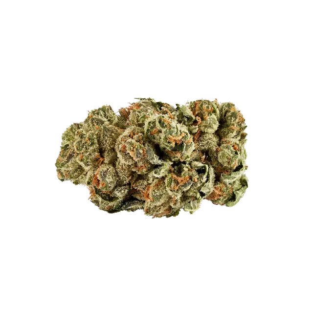 slouu 30/1 ZKS CA