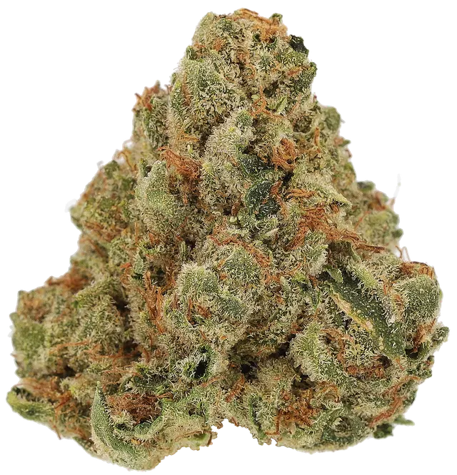 Cannamedical Sativa Classic AU