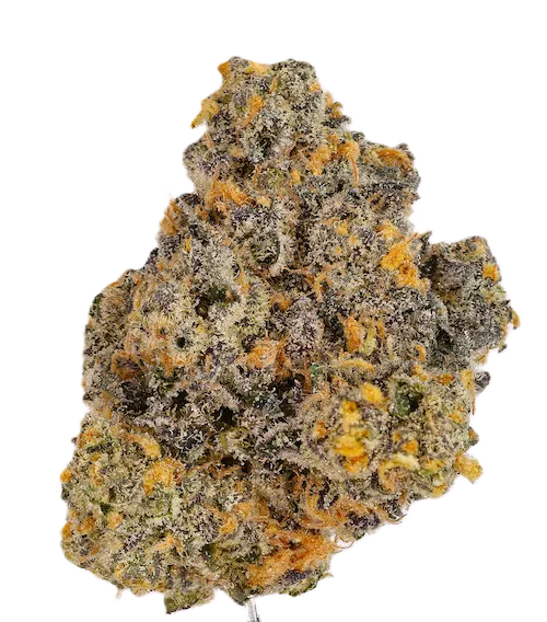 THC AKUT 25 RS11