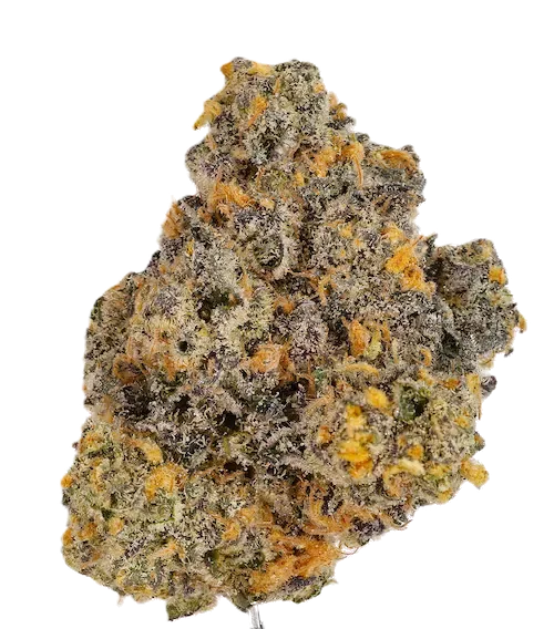 THC AKUT 25 RS11