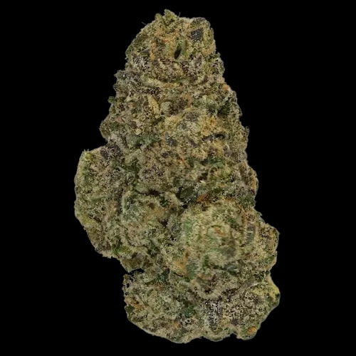 THC akut 30,5 PM