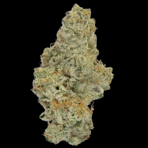 THC Akut 30,5 CJ
