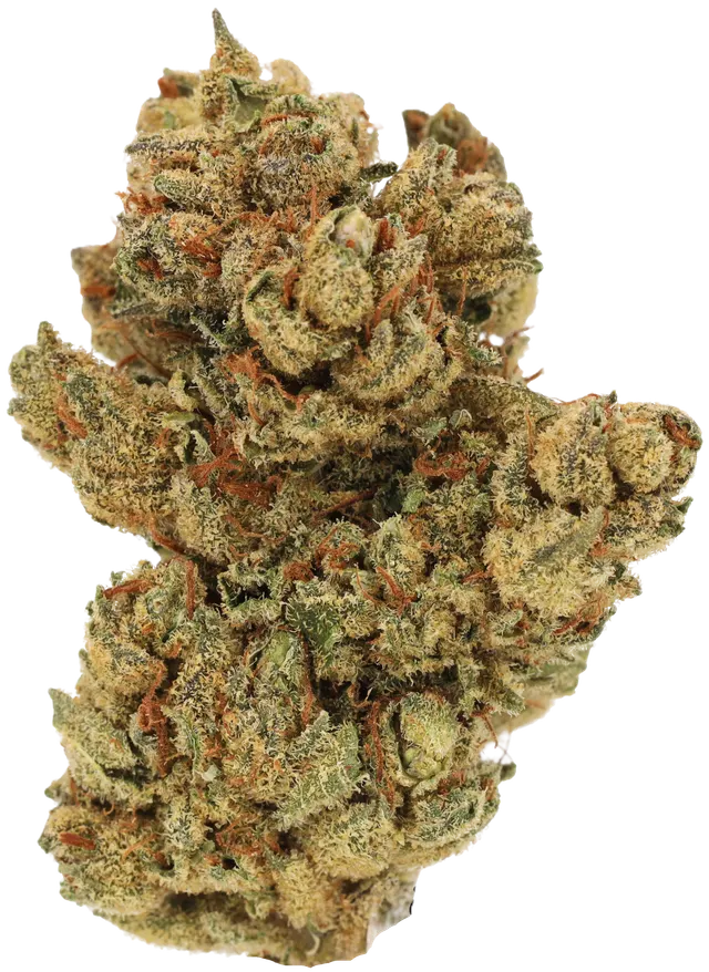 Cannamedical Hybrid Forte KA