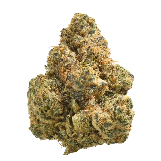 Origine Nature OC 32/1