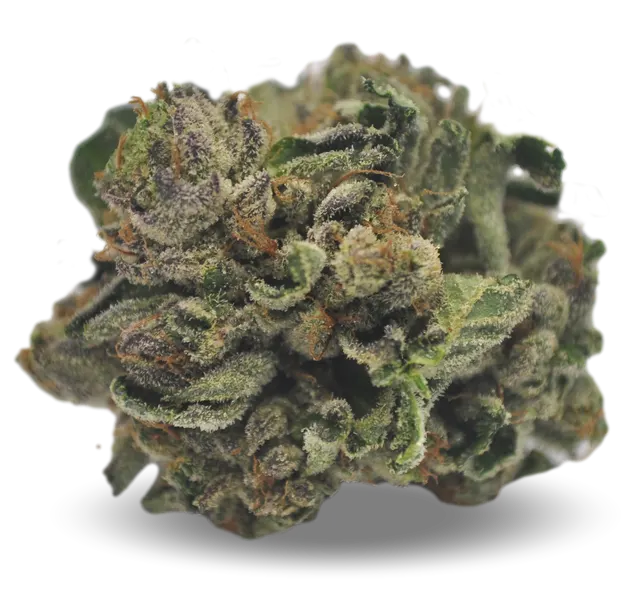 Tilray THC 25 Spotlight Porto