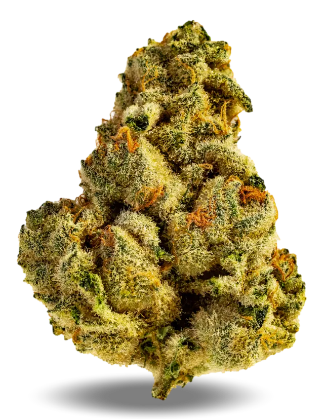 AphriaRX Cannabisblüten THC28 CCC