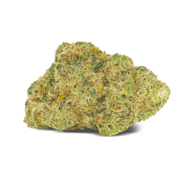 San Raf 31/1 CFK Campfire Kush