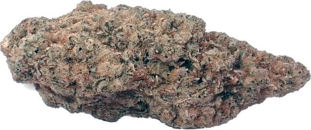 Demecan Core PULSE 25/1 Zativa