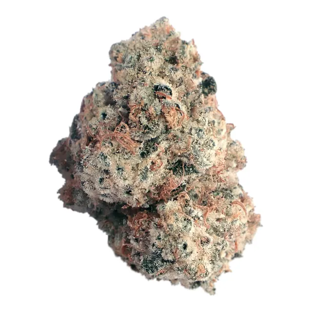 MC Regular Drop