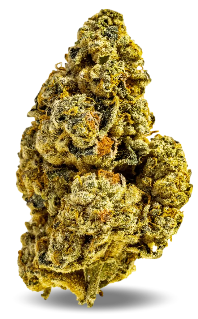AphriaRX Cannabisblüten THC28 CTB