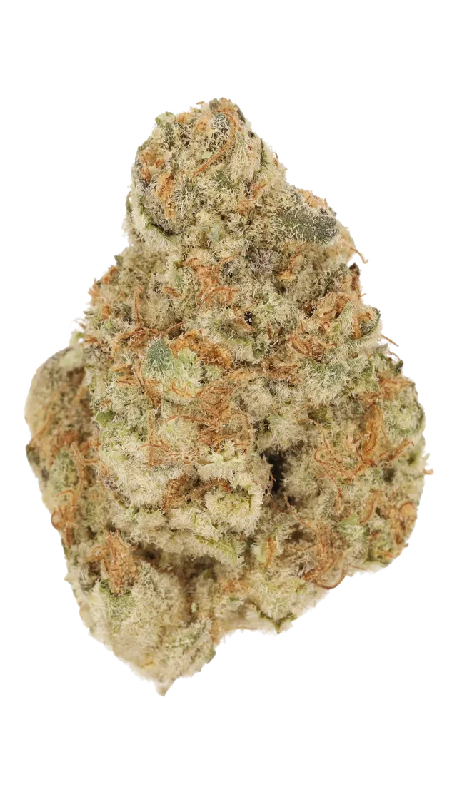 Cannamedical Hybrid Ultra KA