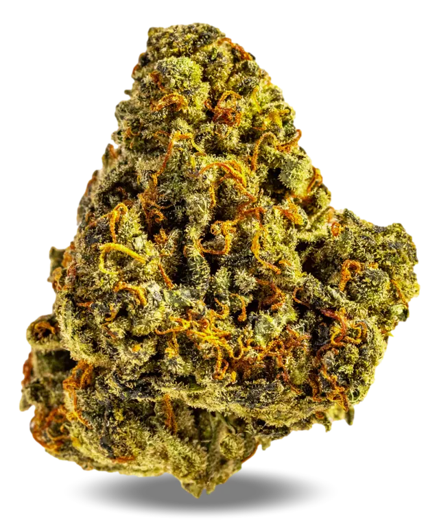 AphriaRX Cannabisblüten THC25 AMH