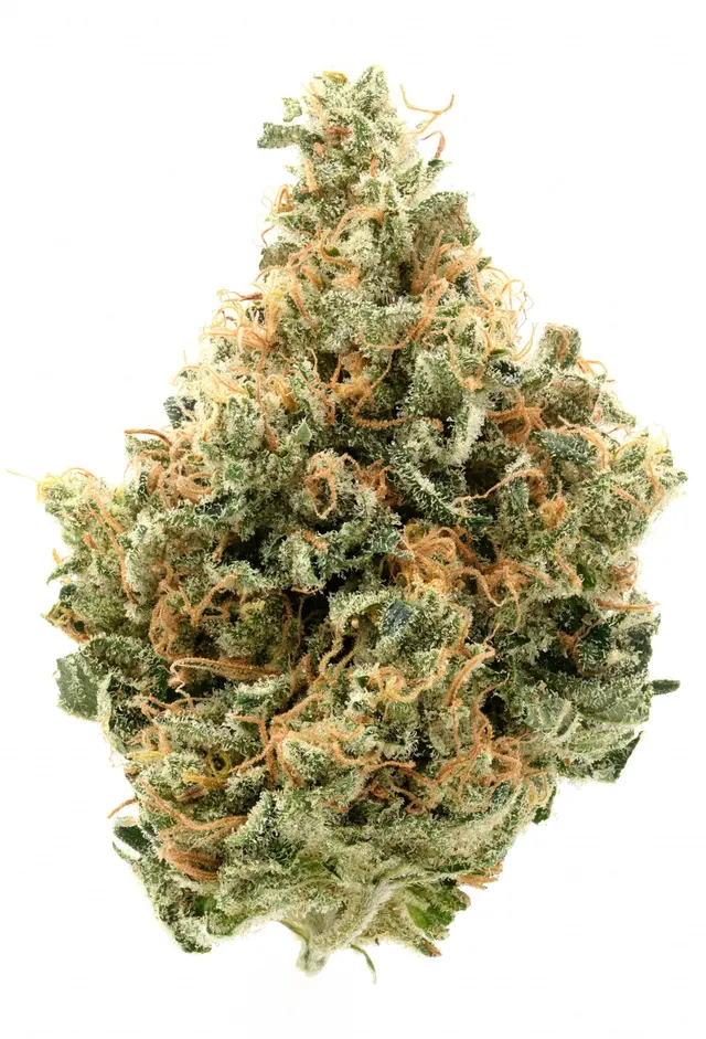 CherryCo THC 25 Sativa