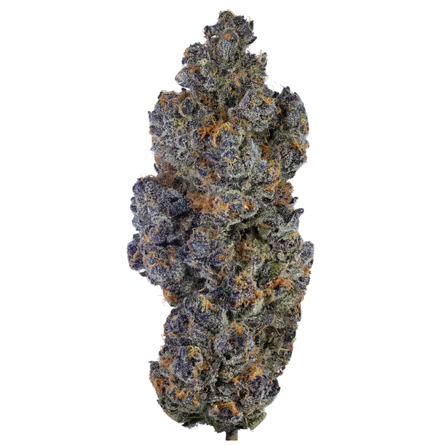 Bathera 29 CA SB