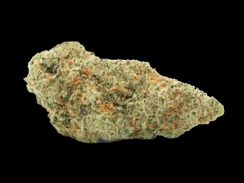 Oceanic BC 25/1