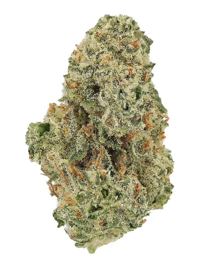 Cannamedical CM 32/1 EBK
